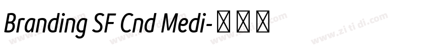 Branding SF Cnd Medi字体转换
